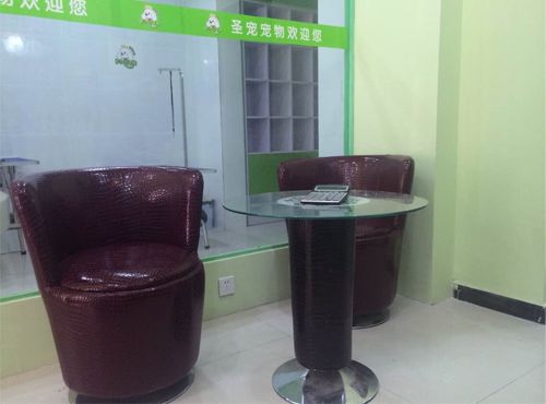 圣宠宠物沧州河间宠物店