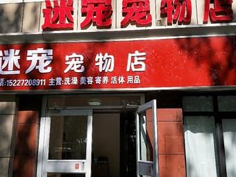沧州卖宠物的地方（沧州哪里有宠物店）