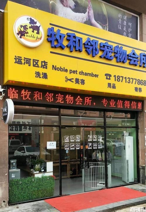 沧州卖宠物的地方（沧州哪里有宠物店）