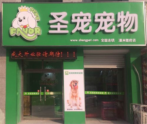 圣宠宠物沧州河间宠物店开业优惠