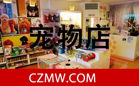 宠物店