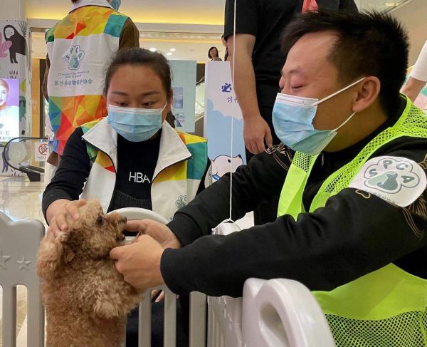 志愿者和市民在与待领养的犬只互动。 图片均为长沙晚报全媒体记者 聂映荣 摄