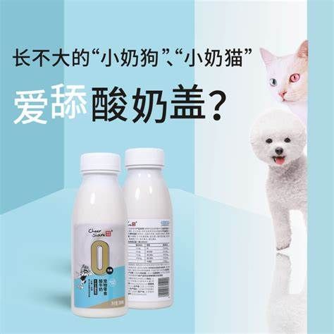 畅享宠物