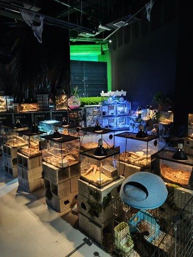 夜行动物大聚会