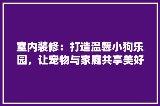 室内装修：打造温馨小狗乐园，让宠物与家庭共享美好生活 现代风格装饰