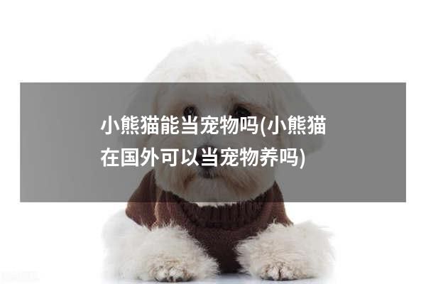 小熊猫能当宠物吗(小熊猫在国外可以当宠物养吗)