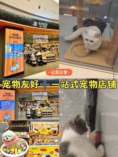 新手养宠必看！一站式购物天堂「宠物部落」