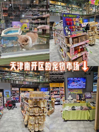天津宠物市场 兰多弯