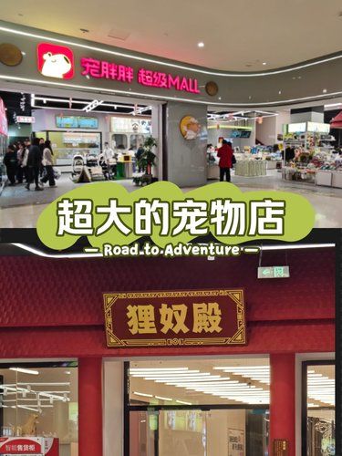 2层楼宠物用品撸猫异宠全都有毛孩子宠物店