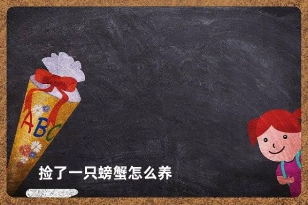 捡了一只螃蟹怎么养