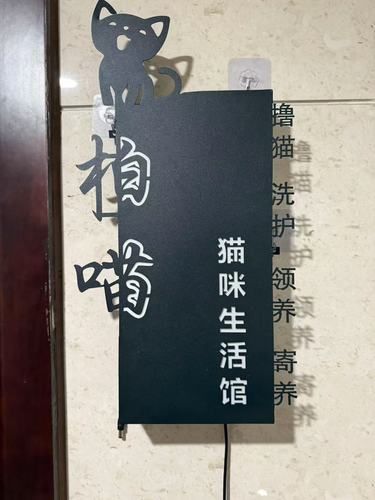 撸猫好心情