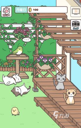 比较受欢迎的猫手游合集 2025好玩的猫手游大全