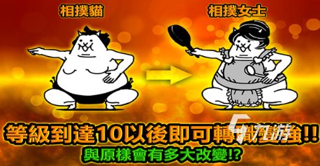 比较受欢迎的猫手游合集 2025好玩的猫手游大全