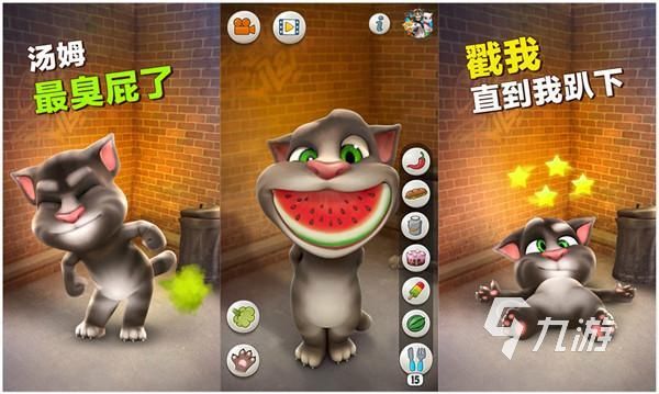 给猫咪玩儿的游戏有哪些 能和猫咪互动的游戏推荐2025