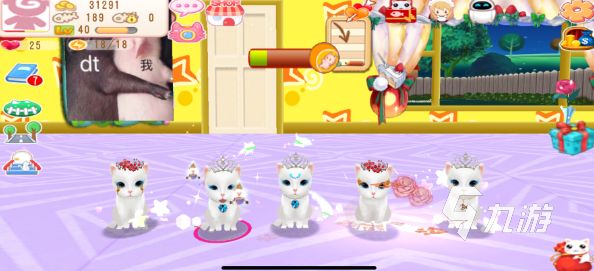 好玩的养猫游戏推荐 养猫游戏前五排行榜2025