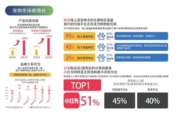 宠物5.jpg