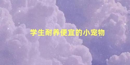 学生耐养便宜的小宠物