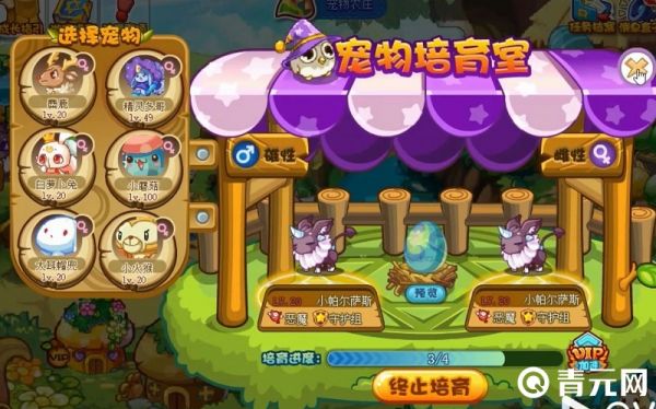 孵蛋要喂食