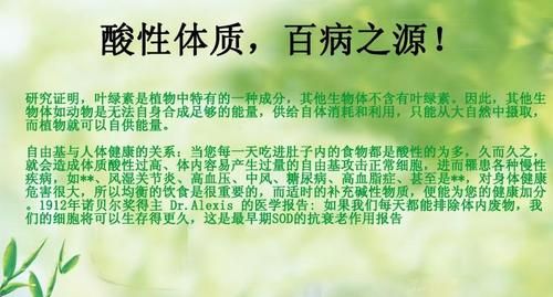 叶绿素对人体的好处与坏处