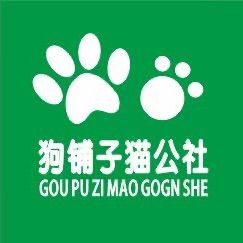 店主头像