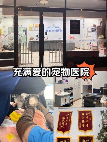 超有爱的宠物医院