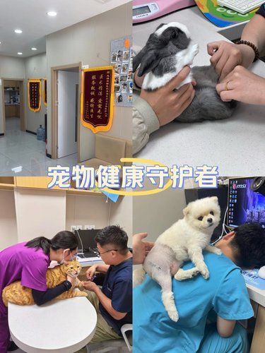 万物皆有灵性，请善待每一个生命！