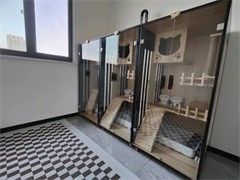 宠物猫寄养 深圳个人家庭代养 长短期托管 上门接送