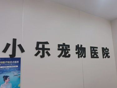 医术超赞 医心更美~