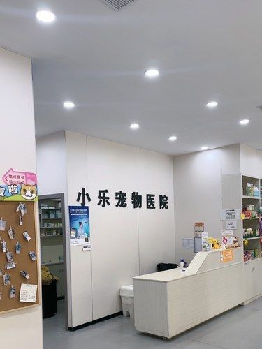 猫咪绝育选小乐！