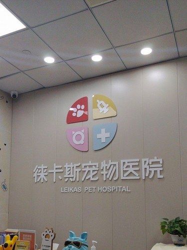 完成崽崽今年份的加强针