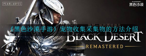 《黑色沙漠手游》宠物收集采集物的方法介绍