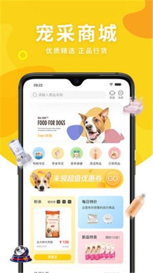宠采