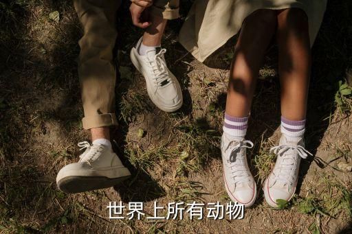 世界上所有动物