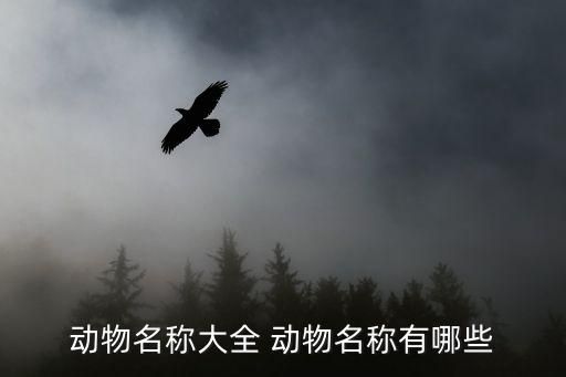 动物名称大全 动物名称有哪些