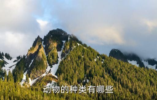 动物的种类有哪些