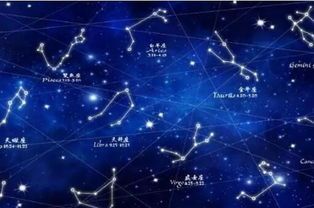 十二星座的宠物？适合你星座的宠物选择指南