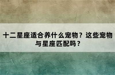 十二星座适合养什么宠物？这些宠物与星座匹配吗？