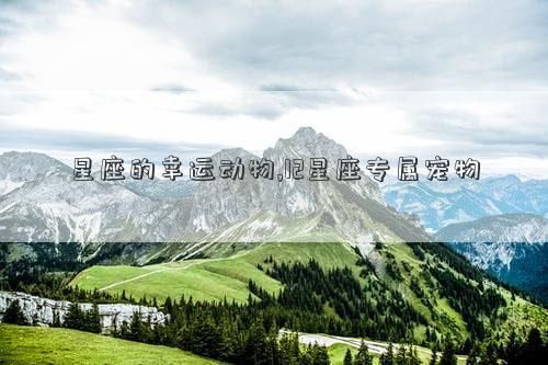 星座的幸运动物,12星座专属宠物