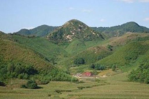 十二星座宠物是什么意思 十二星座对应什么宠物
