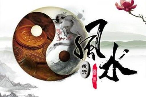 十二星座专属的宠物是什么意思 十二星座相应的宠物