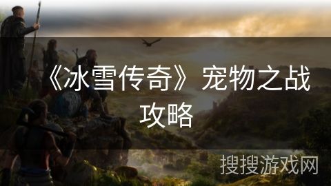 《冰雪传奇》宠物之战攻略