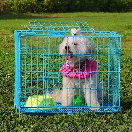 宠物笼批发_狗笼子生产厂家_南通远扬