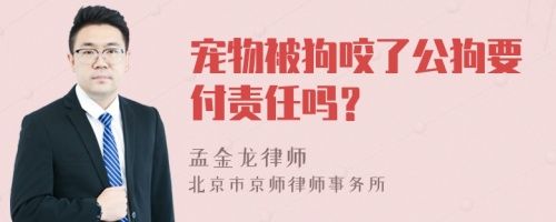 宠物被狗咬了公狗要付责任吗？