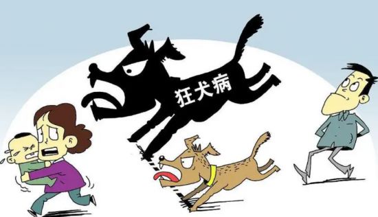 被宠物狗追咬当场把狗打死要负责任吗? 被别人宠物狗咬了怎么办?