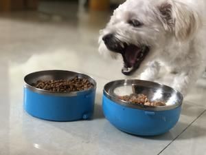自制狗饭狗湿粮的做法 步骤3