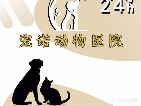 宠诺动物医院·骨科·微创中心(滨涯路店)