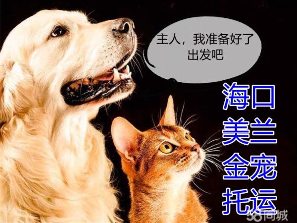 店主头像