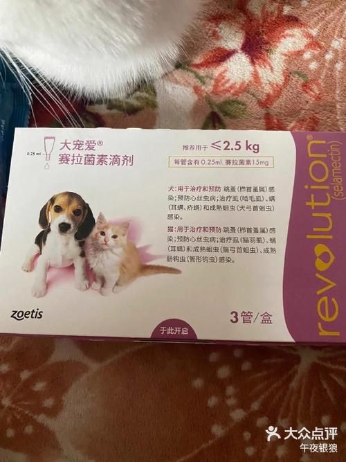 宠物兔用洗澡么,宠物兔用洗澡么还是驱虫