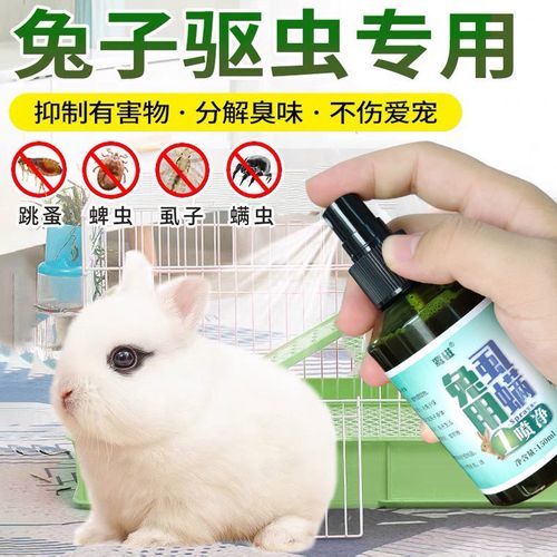 宠物兔用洗澡么,宠物兔用洗澡么还是驱虫