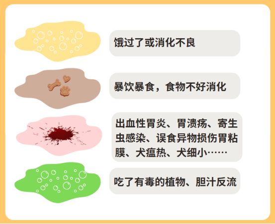 狗狗呕吐吃什么药？